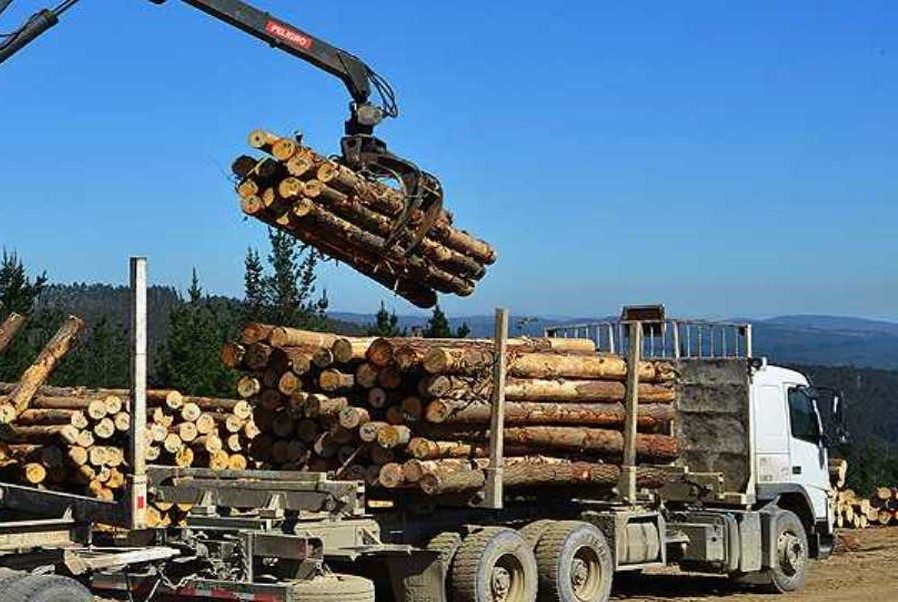 Nom-008-STPS-2013- Actividades de aprovechamiento forestal maderable y en centros de almacenamiento y transformación